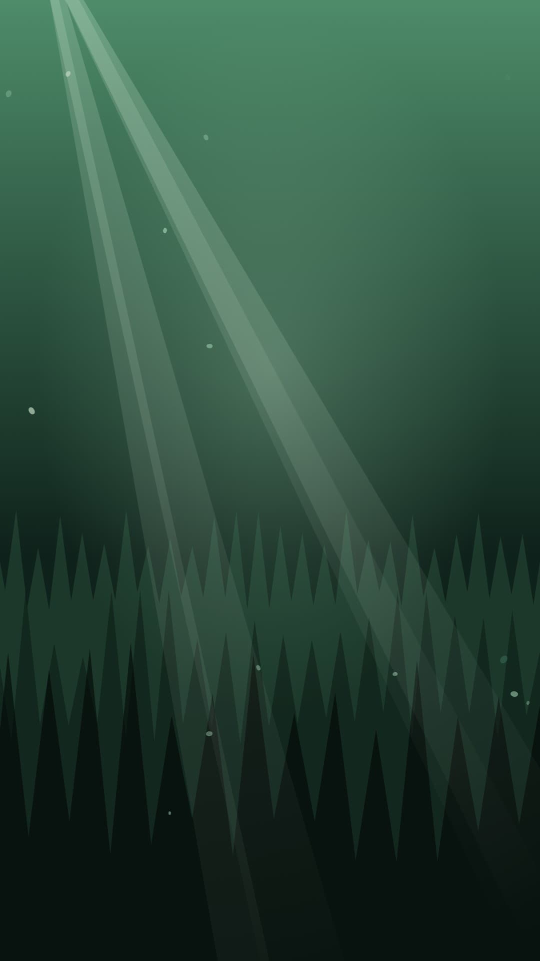 forest sunbeam portrait loop video background preview