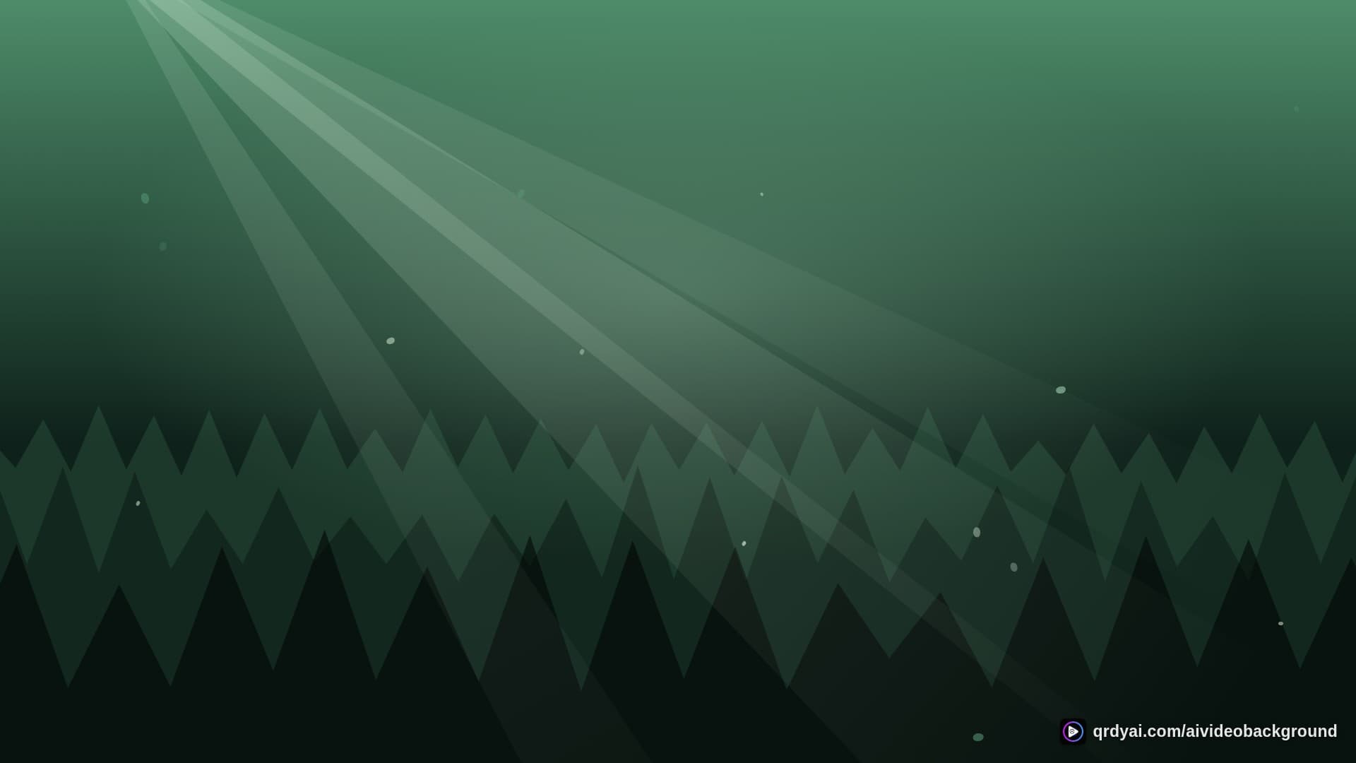 forest sunbeam landscape loop video background preview
