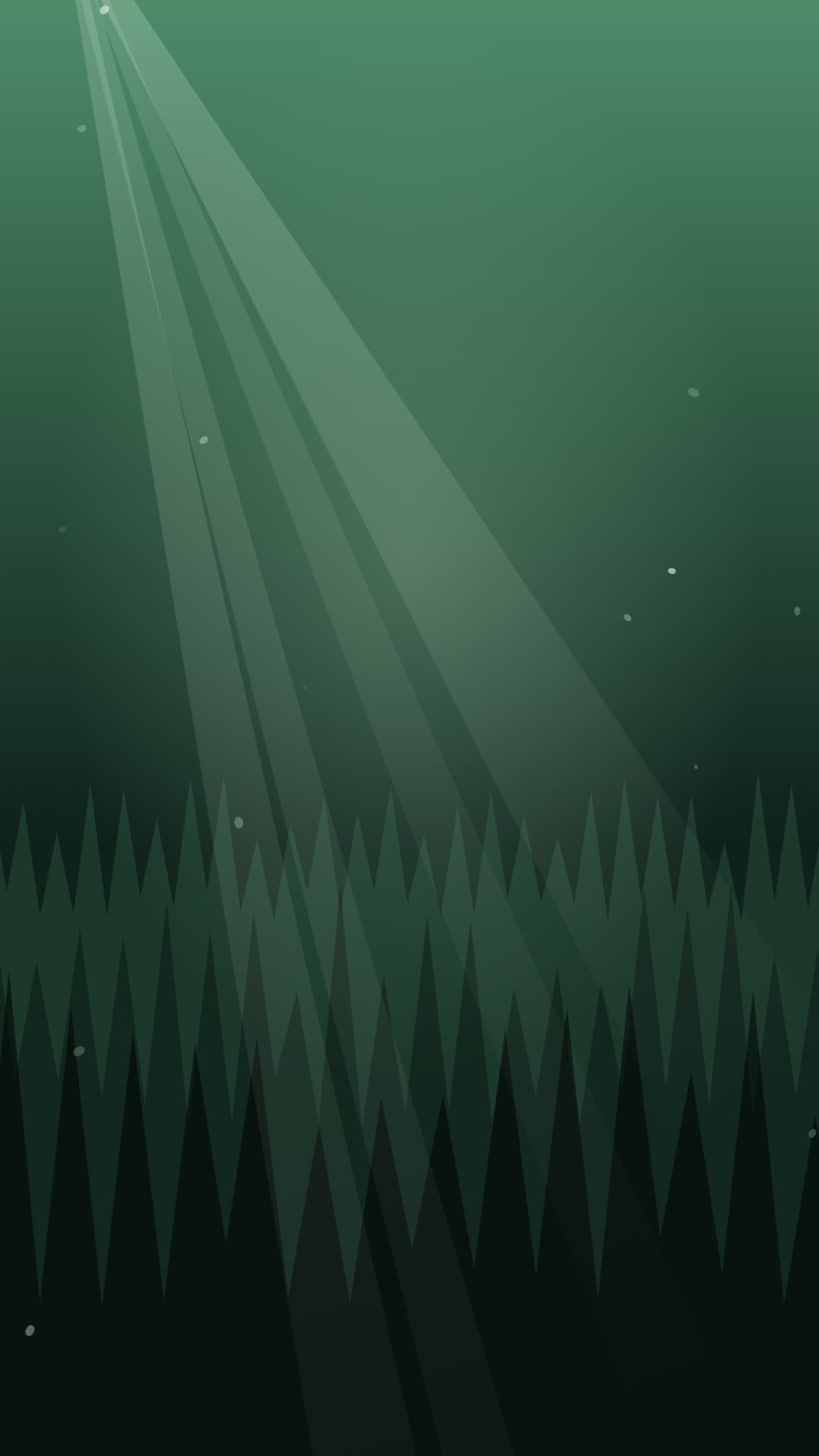 forest sunbeam portrait loop video background preview