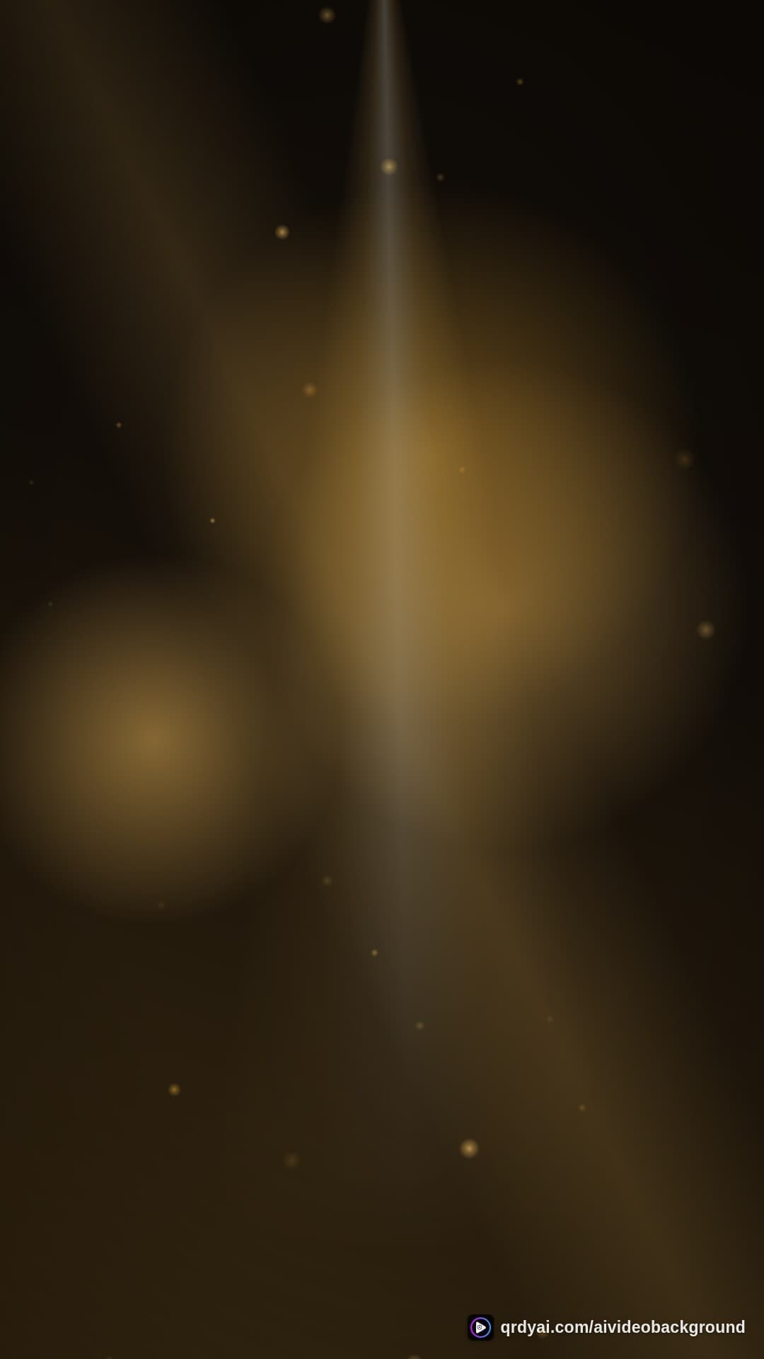 luxe gold portrait loop video background preview