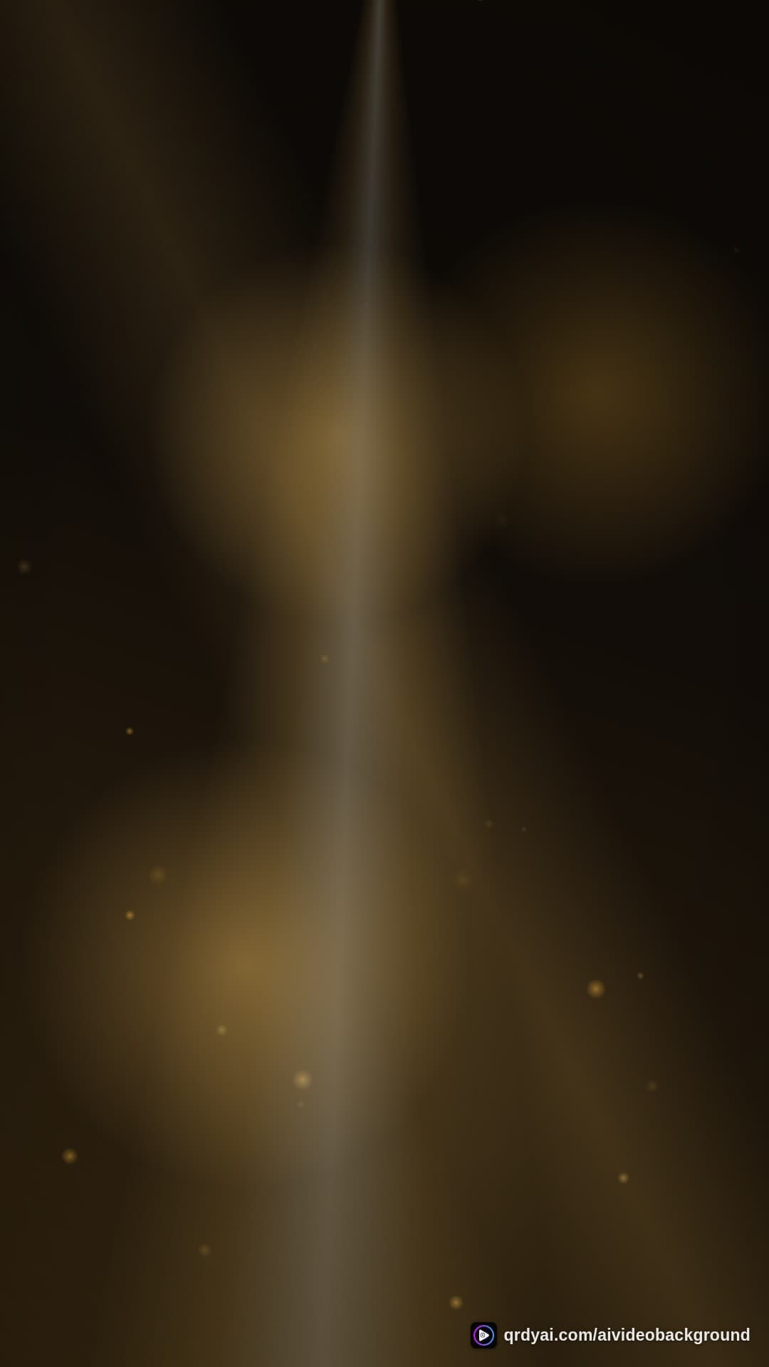 luxe gold portrait loop video background preview