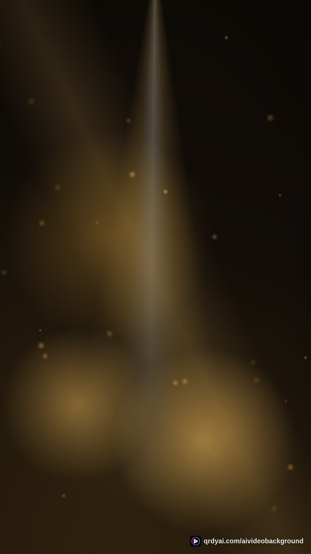 luxe gold portrait loop video background preview