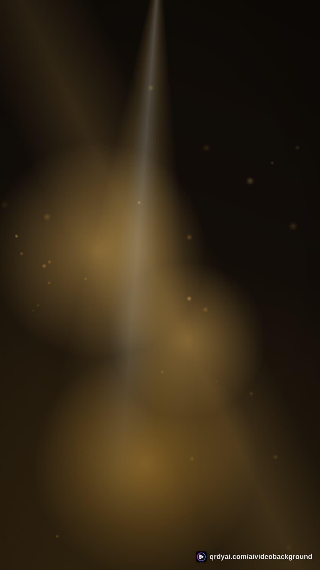 luxe gold portrait loop video background preview