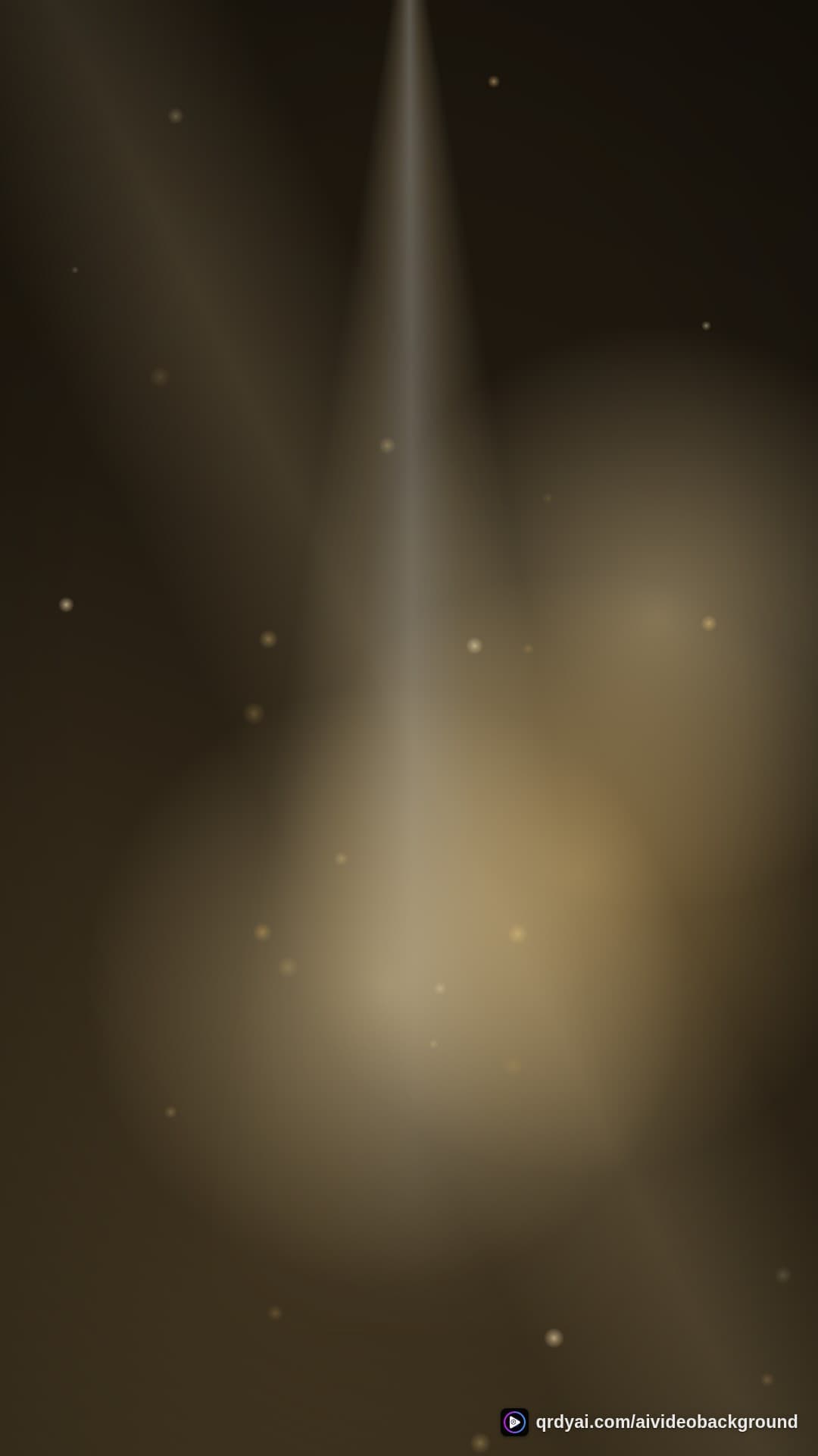 luxe gold portrait loop video background preview