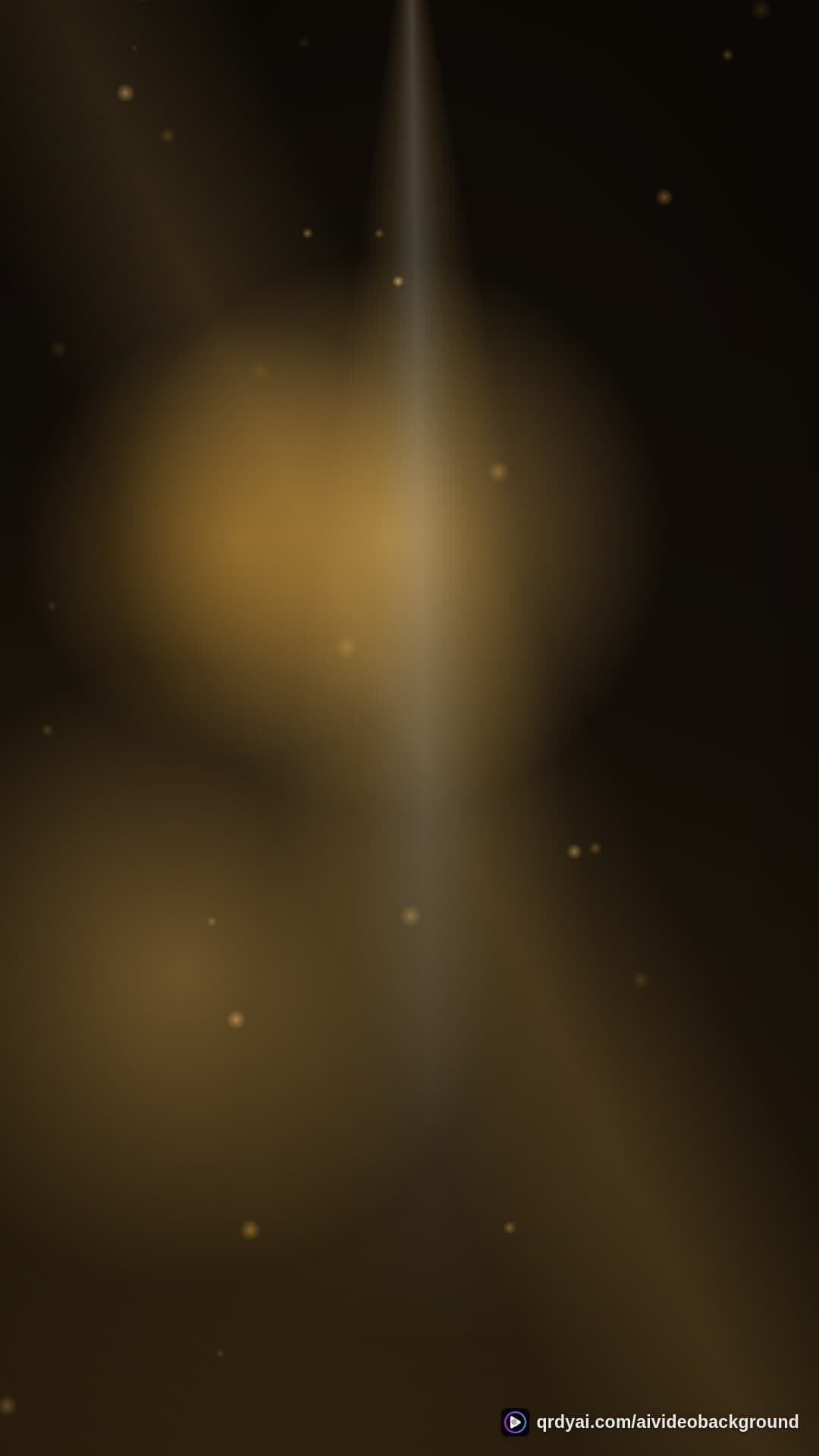 luxe gold portrait loop video background preview