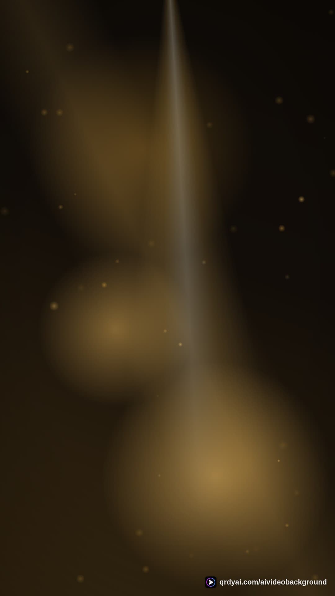 luxe gold portrait loop video background preview