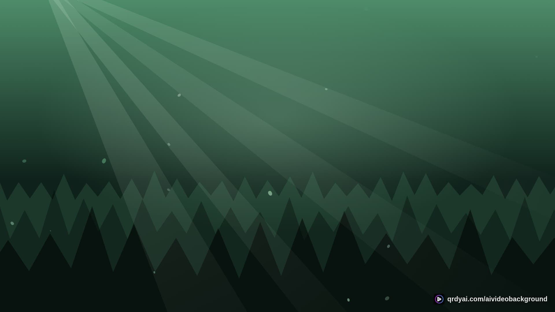 forest sunbeam landscape loop video background preview