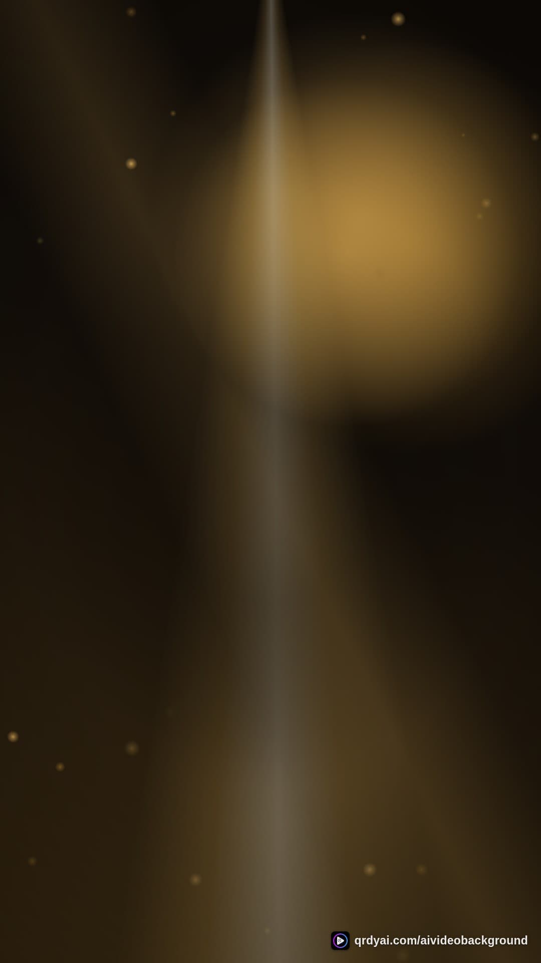 luxe gold portrait loop video background preview
