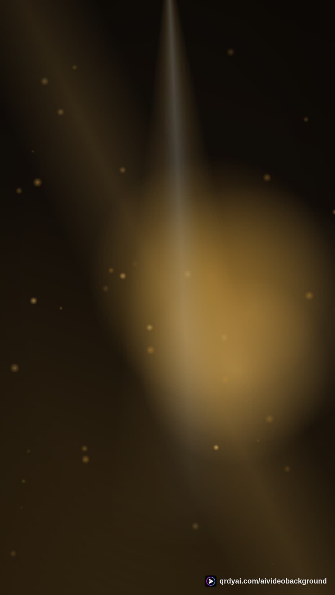 luxe gold portrait loop video background preview