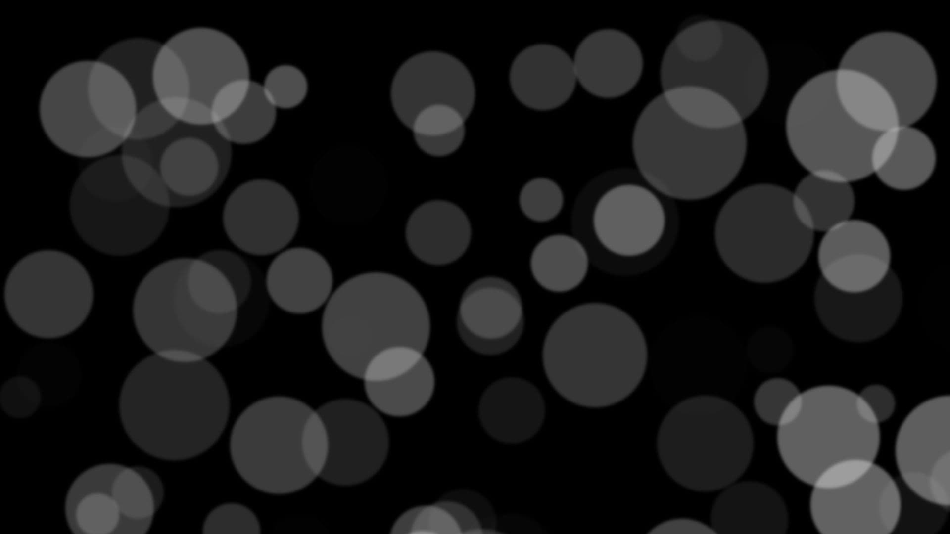 loop video  loop video background preview