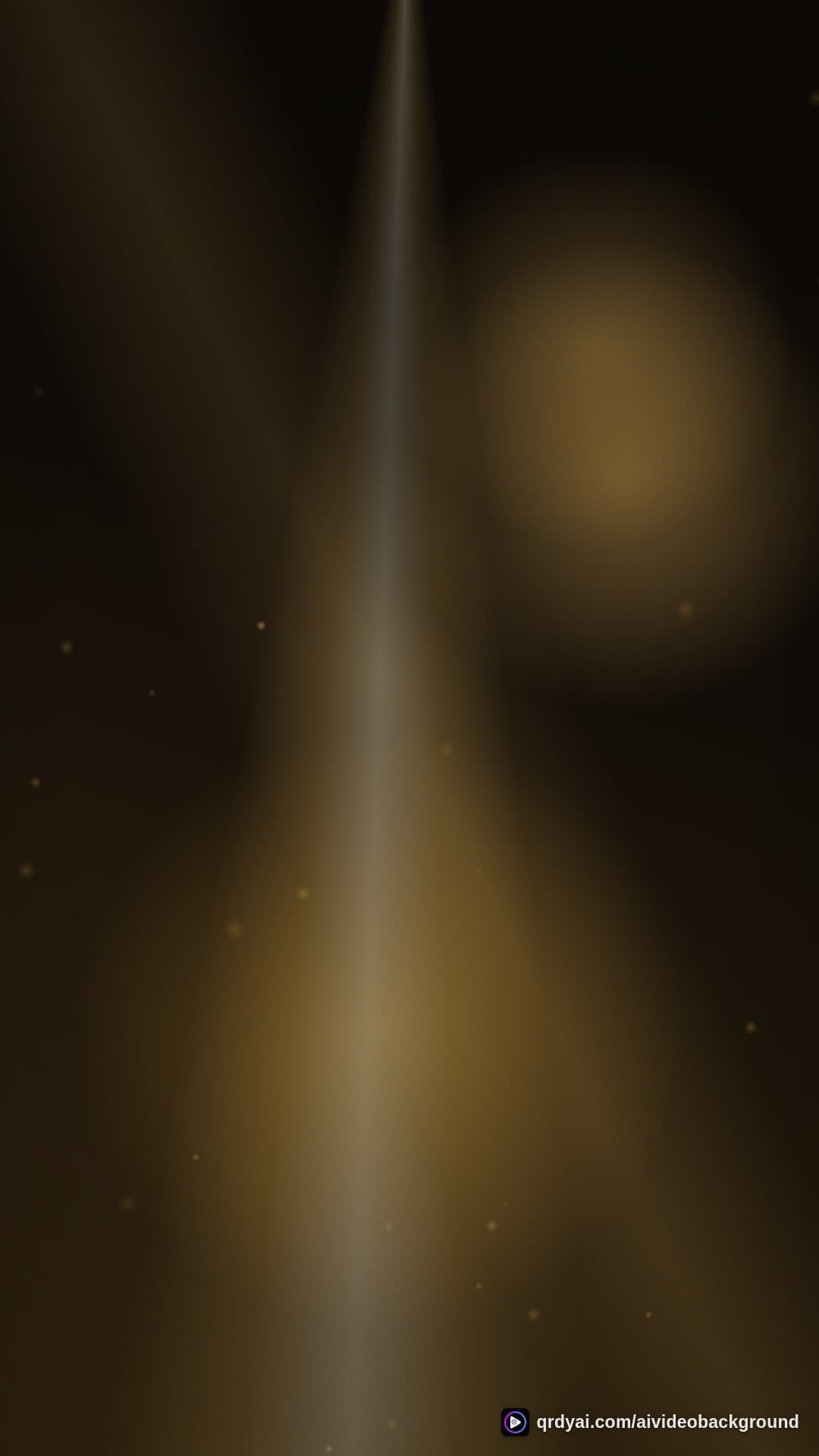 luxe gold portrait loop video background preview