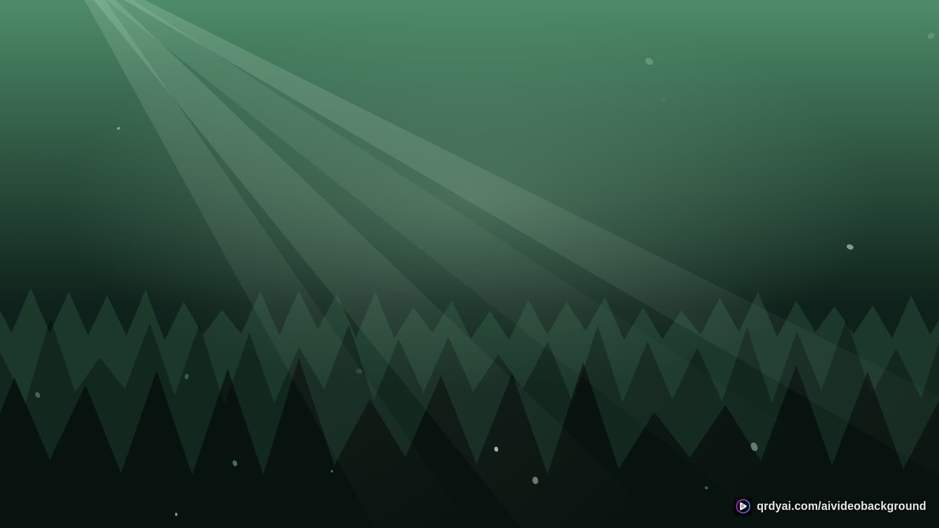 forest sunbeam landscape loop video background preview
