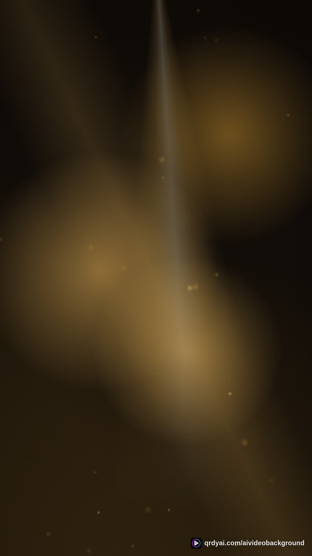 luxe gold portrait loop video background preview