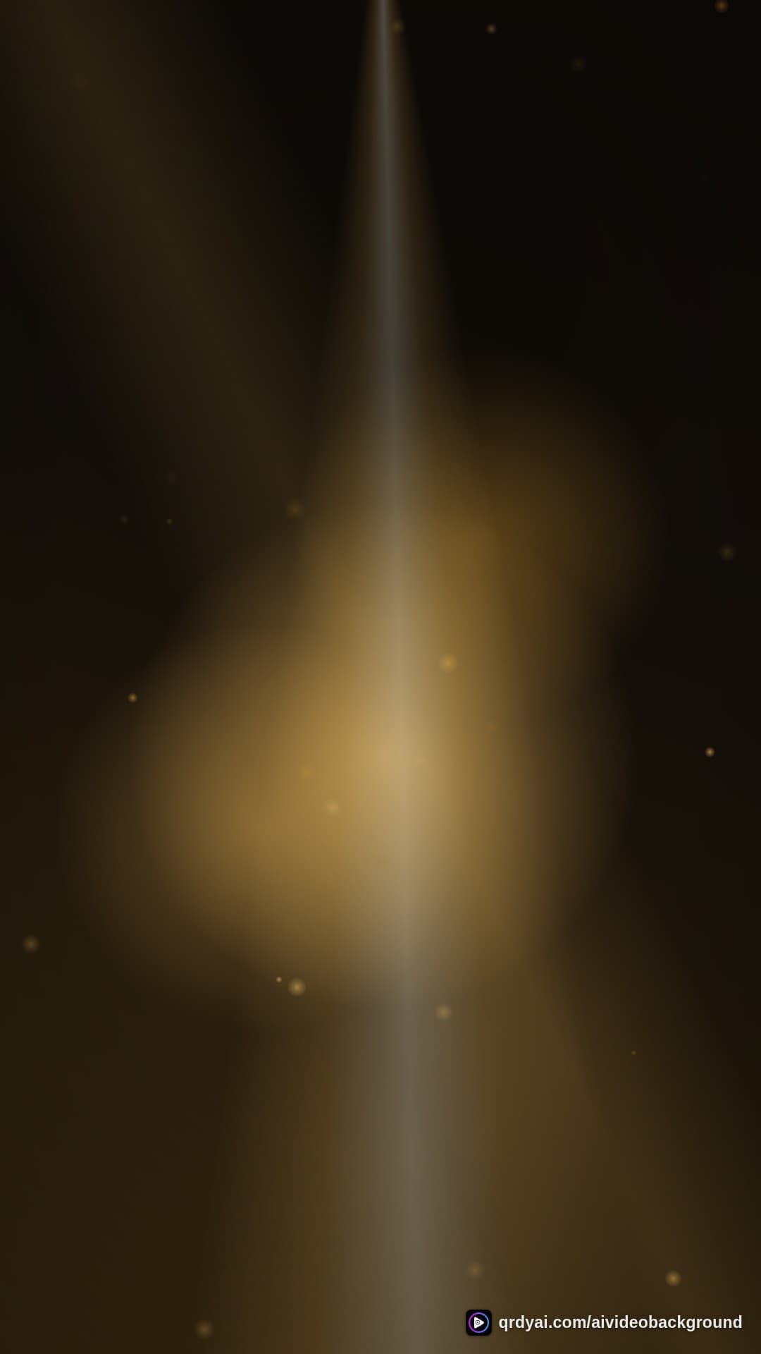 luxe gold portrait loop video background preview