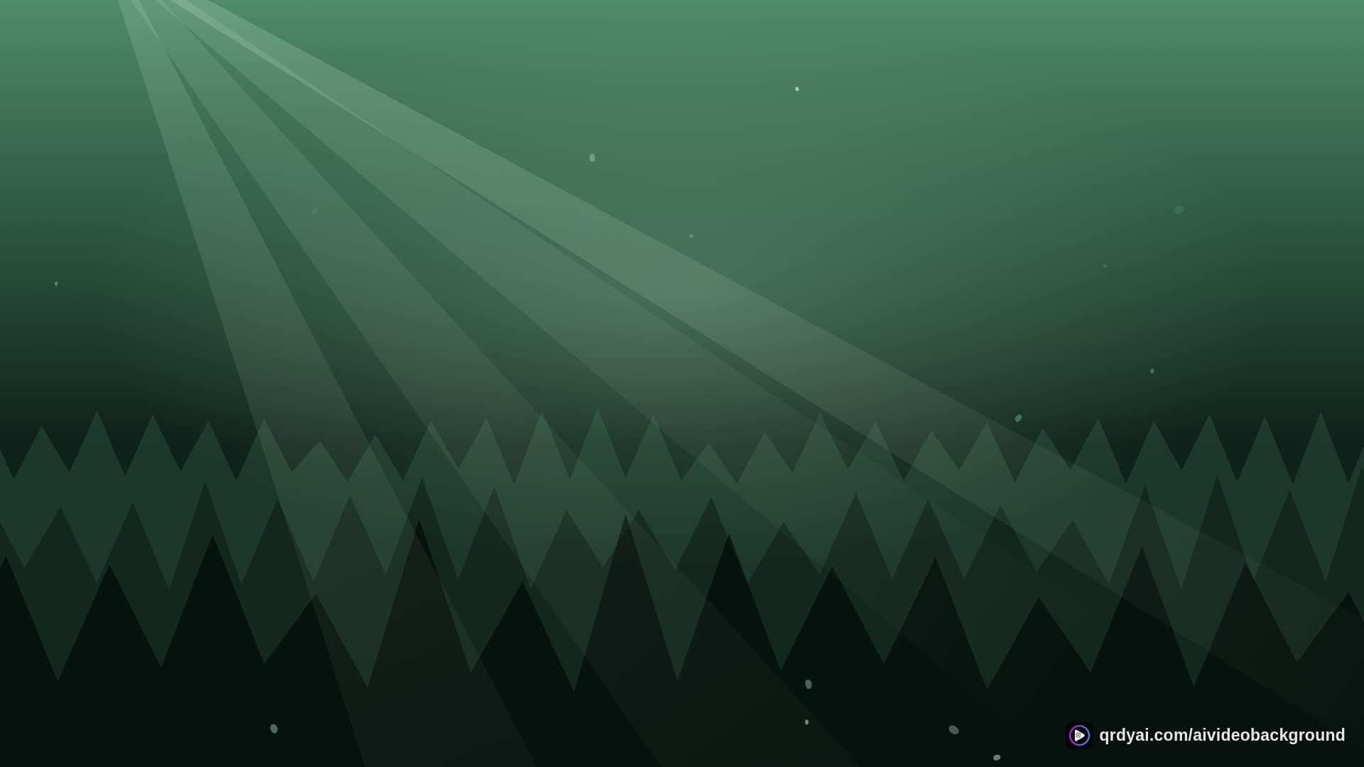forest sunbeam landscape loop video background preview