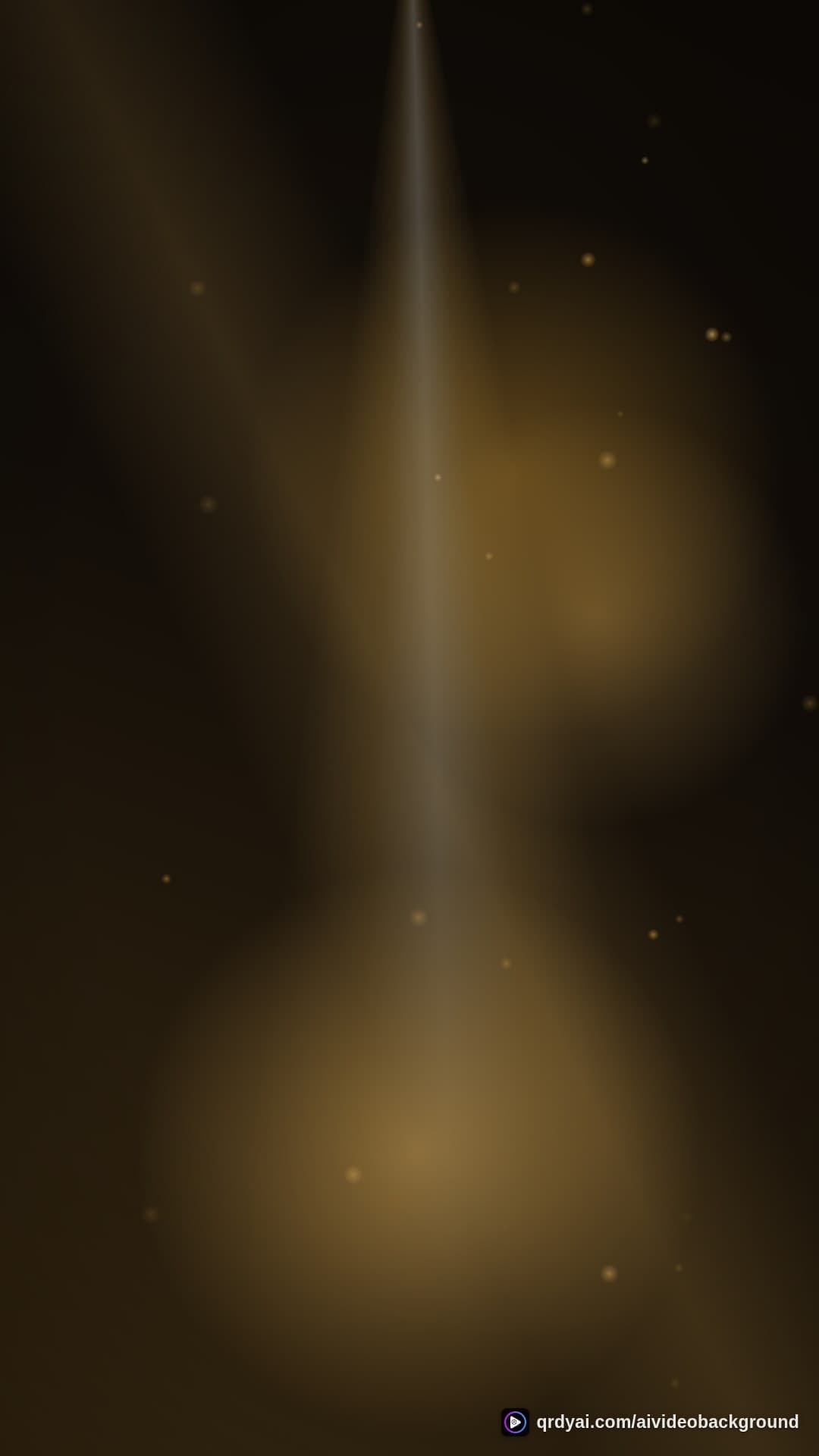 luxe gold portrait loop video background preview