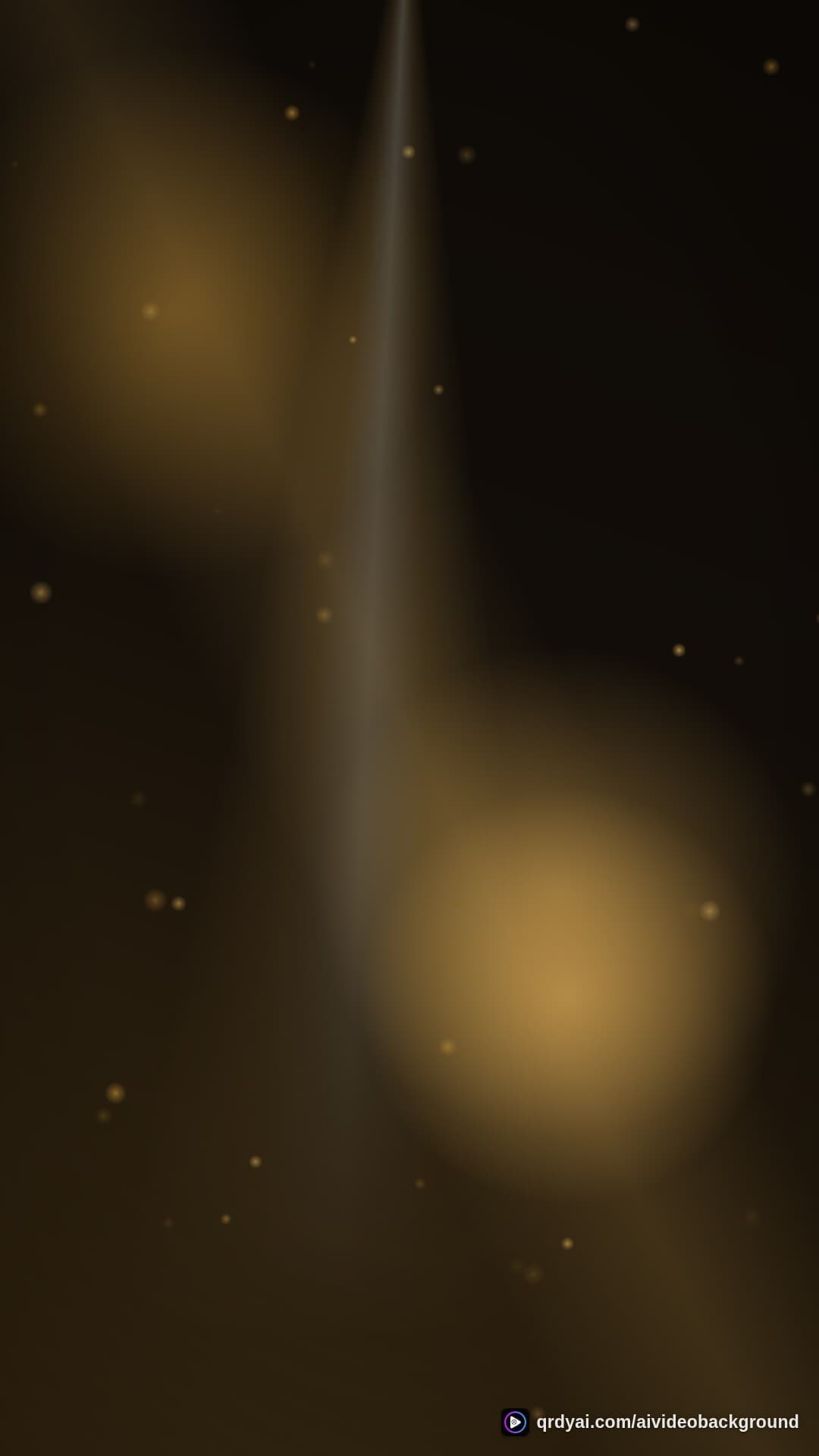 luxe gold portrait loop video background preview
