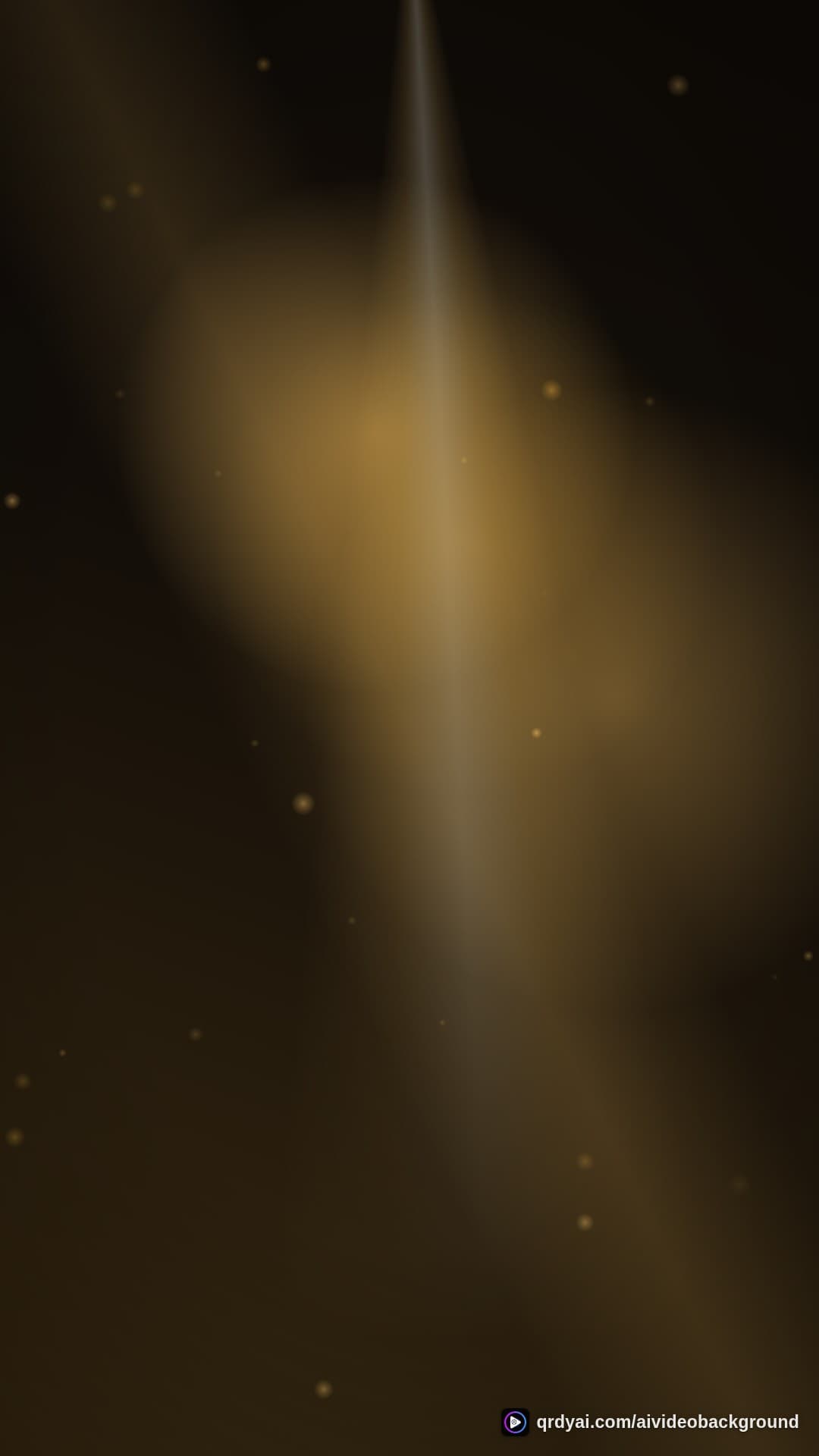 luxe gold portrait loop video background preview