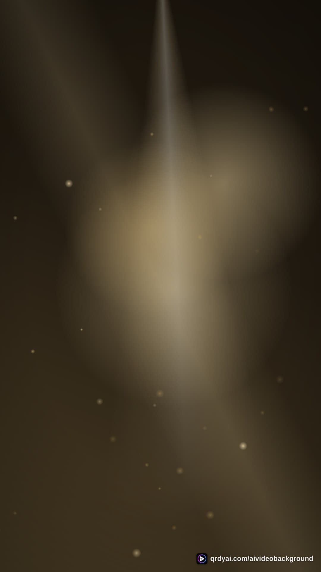 luxe gold portrait loop video background preview