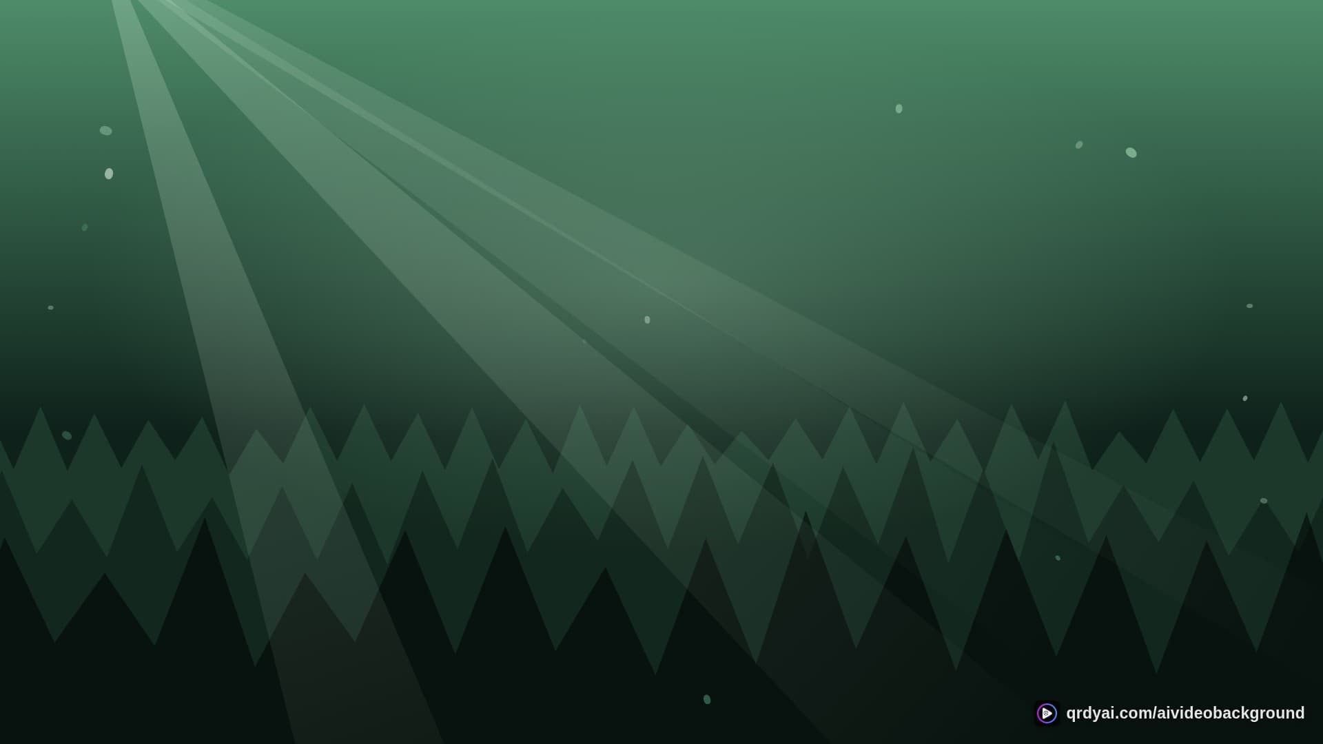 forest sunbeam landscape loop video background preview