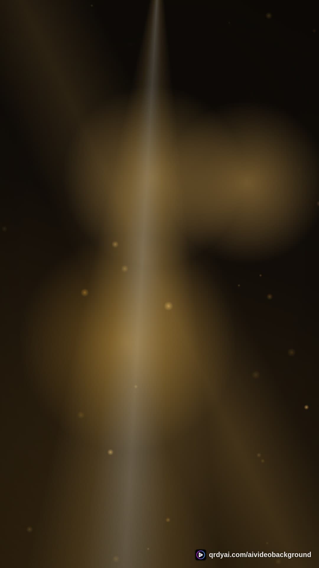 luxe gold portrait loop video background preview