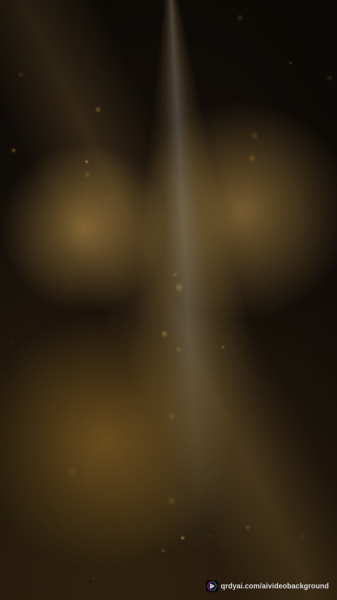 luxe gold portrait loop video background preview