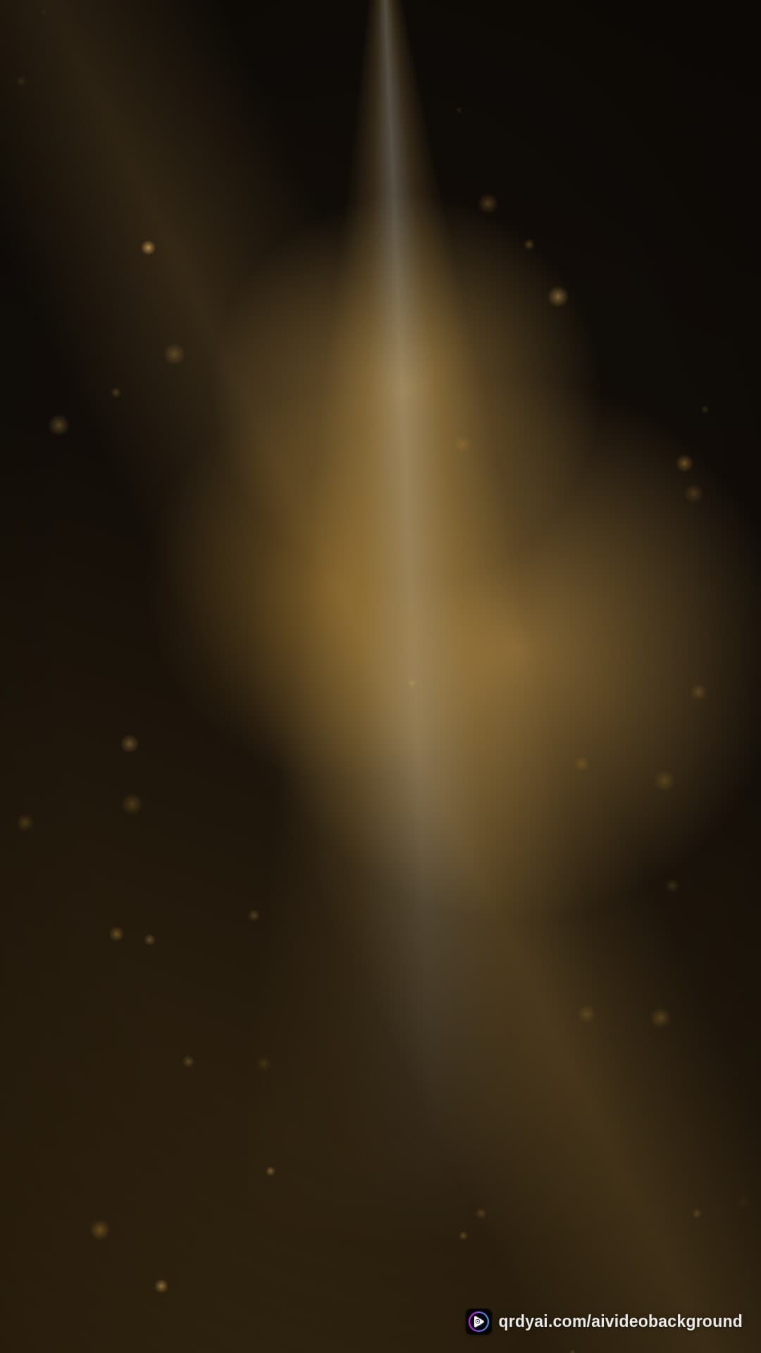 luxe gold portrait loop video background preview