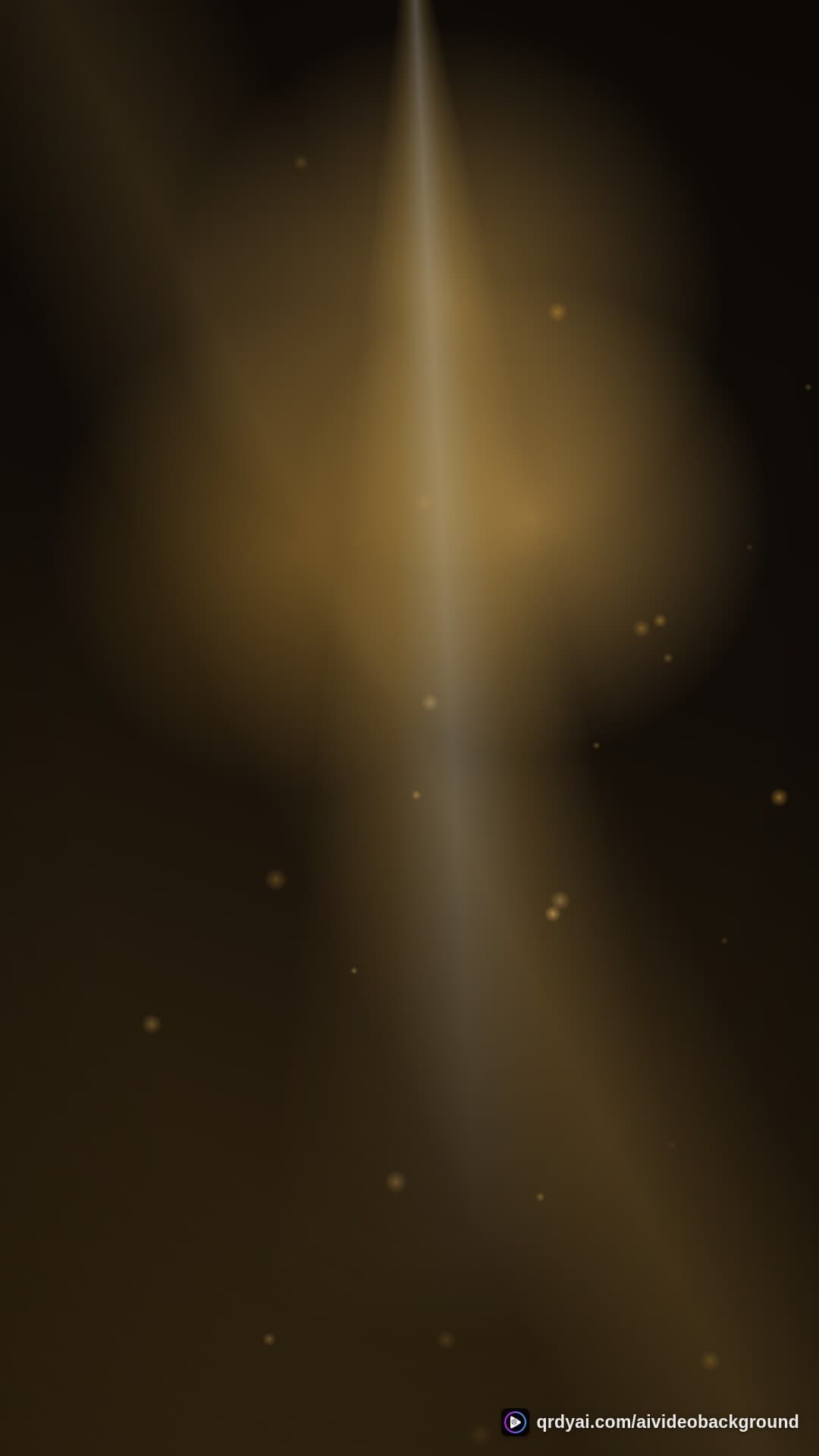 luxe gold portrait loop video background preview
