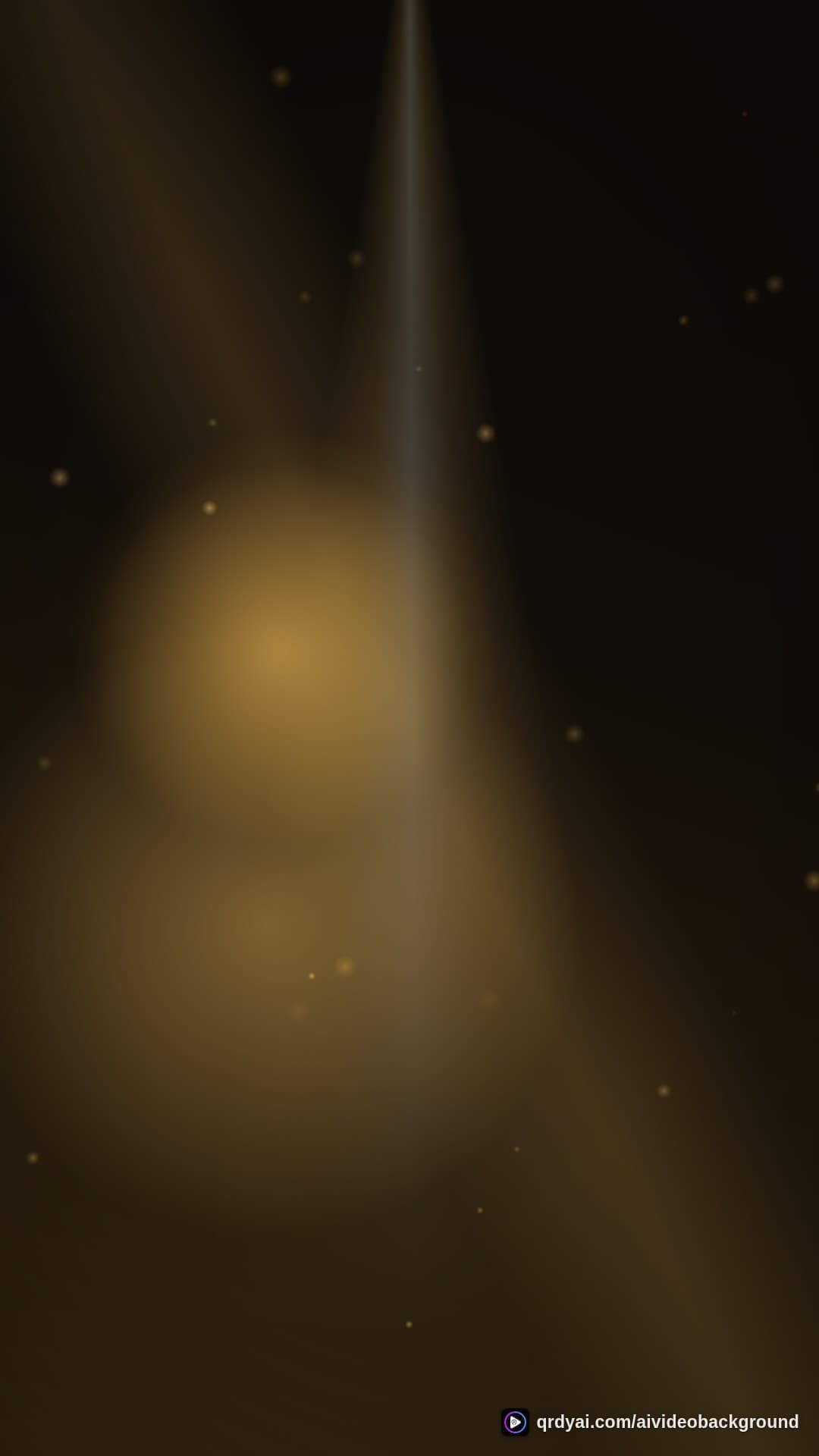 luxe gold portrait loop video background preview