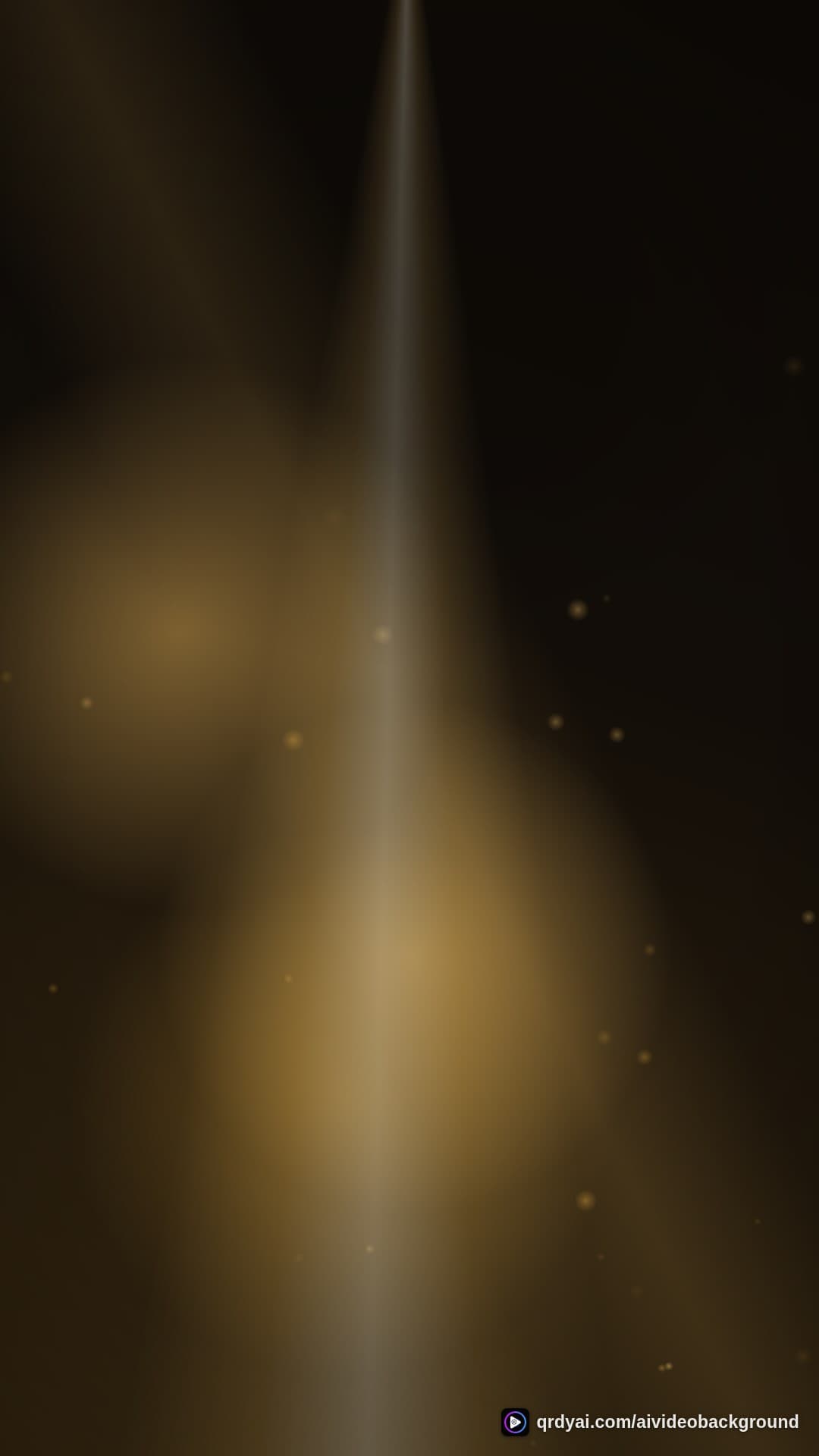 luxe gold portrait loop video background preview