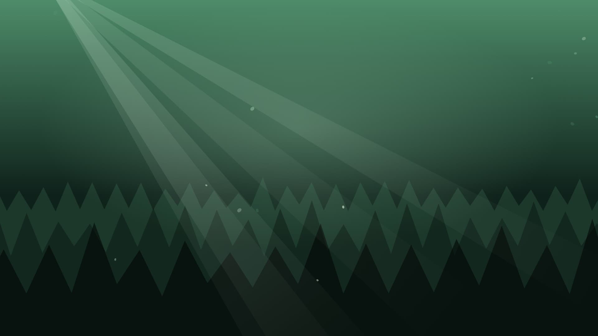 forest sunbeam landscape loop video background preview