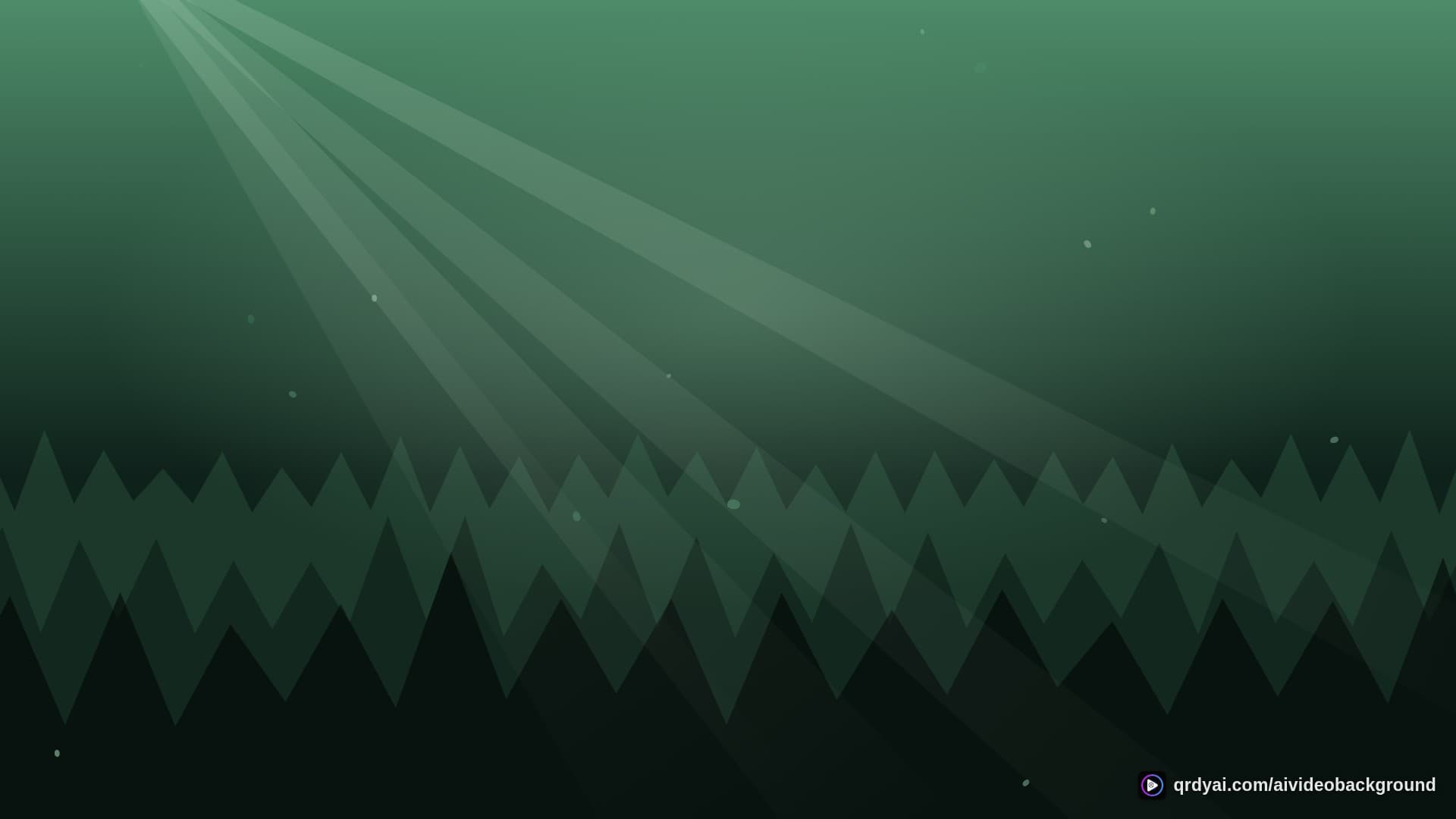 forest sunbeam landscape loop video background preview